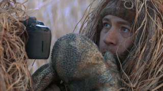 Трейлер: Утка За Миллион Долларов