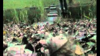 Deaf Center   White Lake