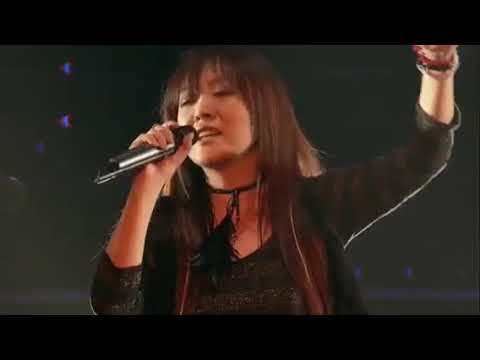 JAM Project SAMURAI SOULS 「LIVE 2010 MAXIMIZER」