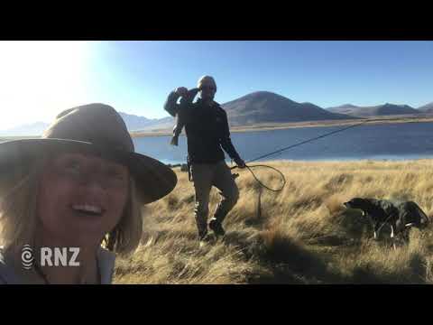 Grass Roots - A Country Life video series | RNZ