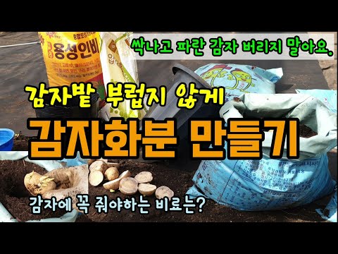 , title : '감자에 필요한 감자비료(용성인비,황산가리 등)와 퇴비를 넣고 감자화분 만드는 방법 감자심는방법 감자재배방법'