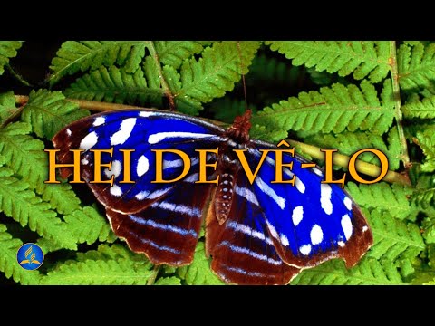 Hinário Adventista 438 - HEI DE VÊ-LO