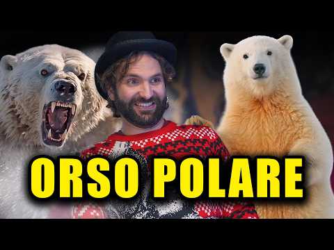 Il più grasso predatore terrestre