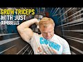 How To Get HUGE TRICEPS (4 Exercises) | Dumbbell Only Workout