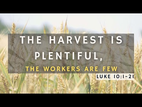 Sermon :The Harvest Is Plentiful, The Workers Are Few | Scripture: Luke 10:1 -21