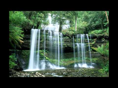 Ala Bragari-O femeie cinstita