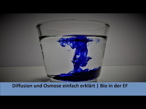 Diffusion & Osmose einfach erklärt! | Biologie in der Einführungsphase