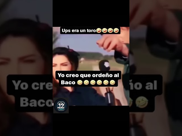 Vídeo relacionado con Funny f Vaca f Western Country hilarante sarcástico Meme Vacas Camiseta