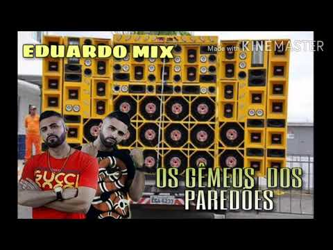 YURI & WILL GÊMEOS DOS PAREDÕES |REP NOVO| 2020|