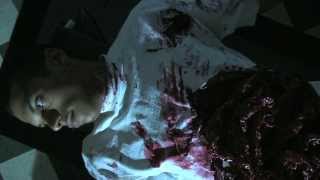 Трейлер превью