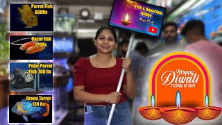 Exotic Fish Stock at Sudhir Fish Aquarium Shop Vikas Nagar Uttam Nagar New Delhi||Best aquarium shop
