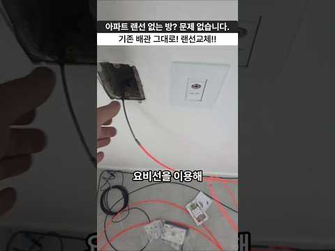 인터넷 안 되는 컴퓨터방, 전화선 빼고 랜선 넣었더니?! 아파트 랜공사 이렇게 합니다