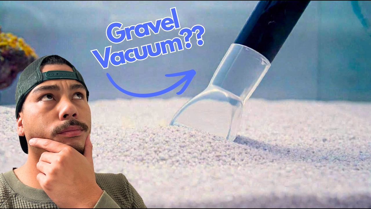 Reef Tank Water Changes for Beginners: What This 15-Gallon Walkthrough Gets Right (and What to Add)