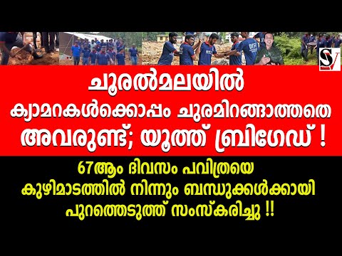 യൂത്ത് ബ്രിഗേഡ് ! youth brigade | dyfi