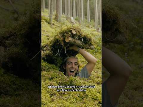 Ich bau einen GEHEIMEN RAUM im Wald