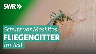 Fliegengitter gegen Moskitos: Wie leicht geht der Einbau? | Marktcheck SWR