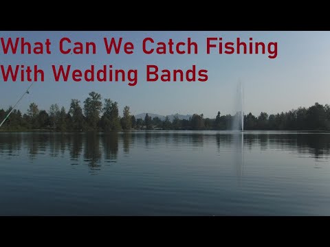 What Can We Catch Fishing With Wedding Bands