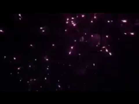 Dominator pro 25shot purple peony (pfx30-p)