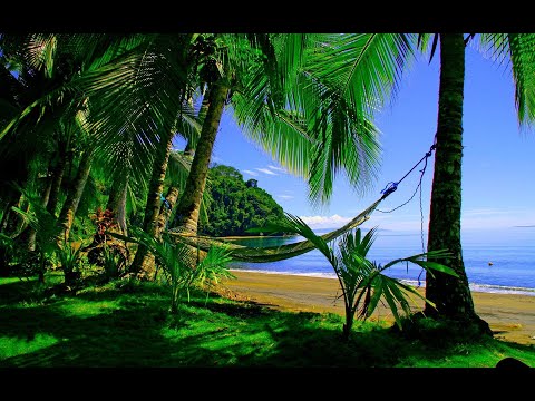 DANCEHALL Dj MIX 6 LOVERS BADDIS TING RIDDIM