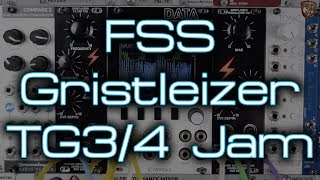 Video thumbnail for Future Sound Systems - Gristleizer TG3 & TG4 *FIRST PATCH JAM* by DivKid