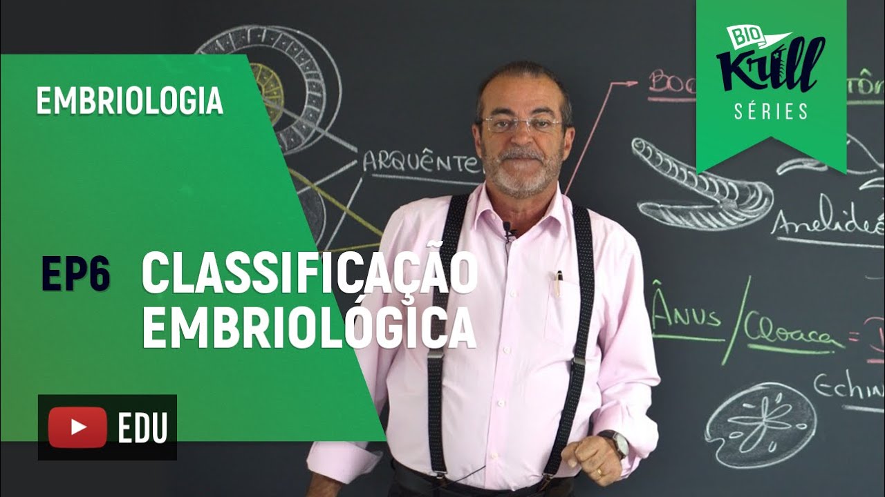 Classificação Embriológica dos Animais (Embriologia - EP 6) | Biokrill Series