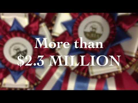 Awards at 2017 Lucas Oil AQHA World Championship Show