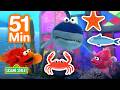 Elmo S Sea Creatures 1 HOUR Sesame Street