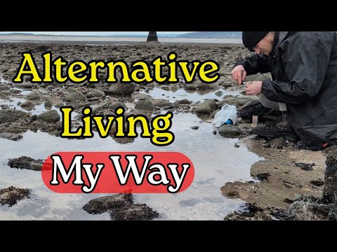 Homeless doesn't always mean Helpless