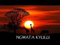 Ngwata Kyulu By Peter MUAMBI Kyanganga Boys Band