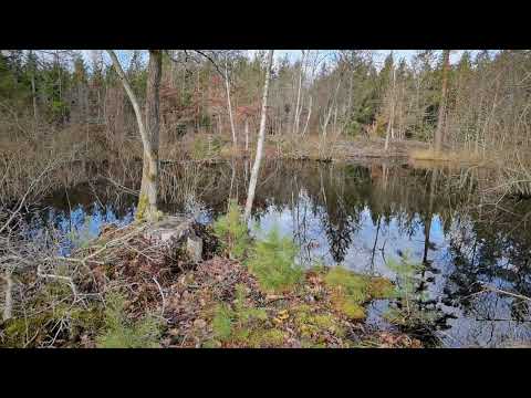 VI KALLAR det TRÄSKET öster om SKÄRSJÖN - Kallinge - Ronneby - 2022-02-18 (Huawei P40 Pro)