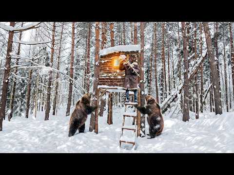 Man built a Shelter from PREDATORS in a tree from START to FINISH in 5 hours