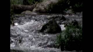 Death In Vegas - Opium Shufflle