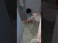 nie anak di kamar mandi juga masih joget..