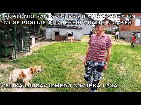 ŠABANOV PAS PREŠAO DUG PUT DA BI SE VRATIO SVOM BIVŠEM GAZDI