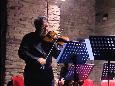 Concerto dell'Ensemble d'Archi Internazionale Giovanile F. Fenaroli  -  EMF Lanciano 2013