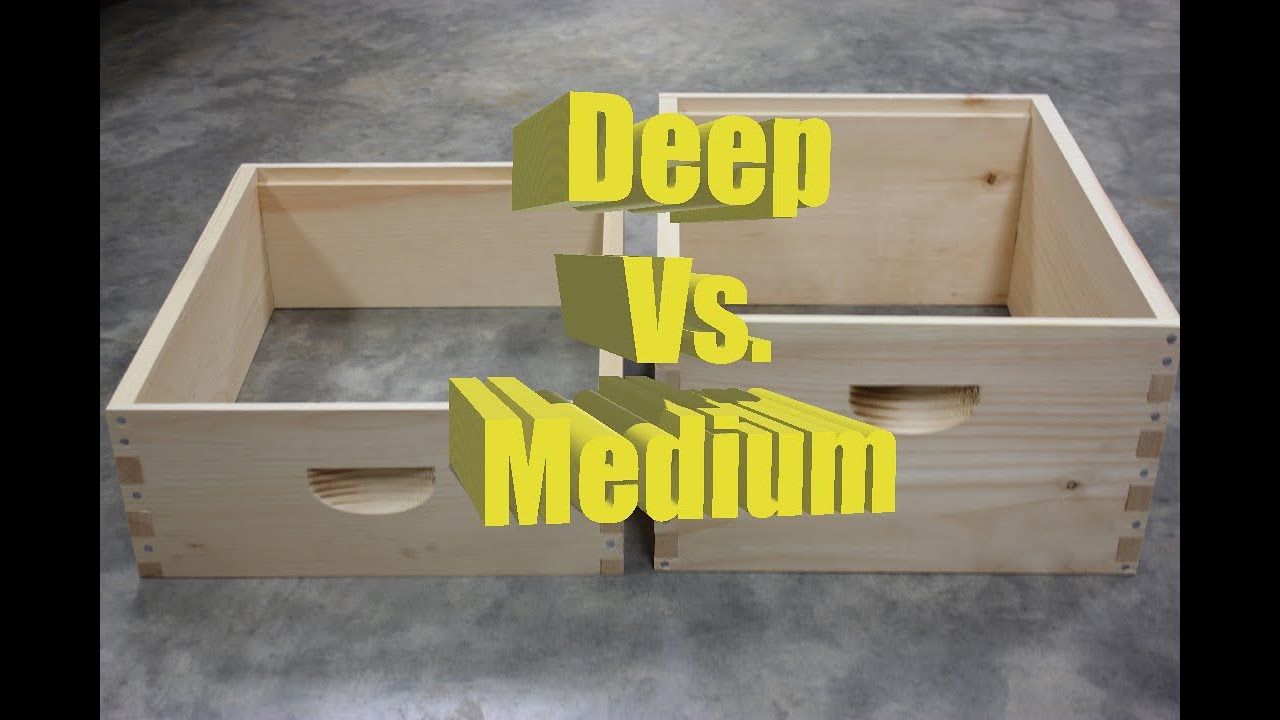 Deep vs. Medium brood chambers. Pros and cons.