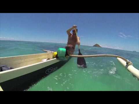 Dads With Lightning Fast Reflexes Compilation