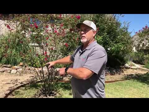 Sprinkler Repair And Installation Contractor In McKinney Shows Modifying Existing Irrigation System Video