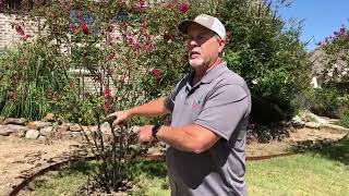 Sprinkler Repair And Installation Contractor In McKinney Shows Modifying Existing Irrigation System