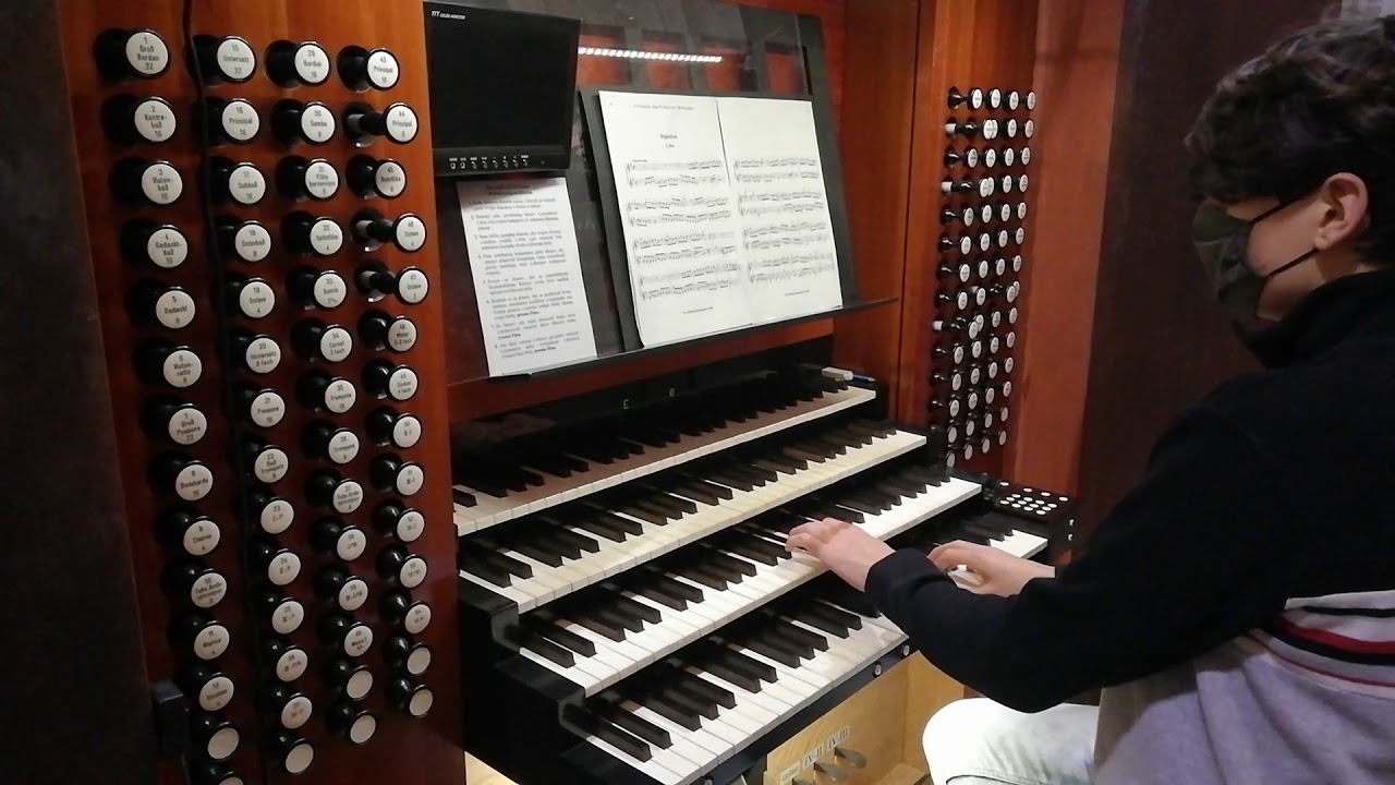 J F Danrieu   4  suita   II  Duo   hrá Andrew Lesan