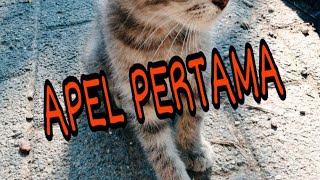 Download lagu APEL PERTAMA(hari moekti_lirik) mp3 Download lagu APEL PERTAMA(hari moekti_lirik) mp3