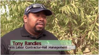 Grower & Farm Labor Contractor Hall Management Recommends Datatech