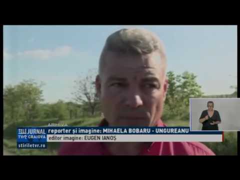 PRIMAR REŢINUT PENTRU ABUZ