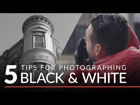 How to Set Up and Use a Wacom Tablet