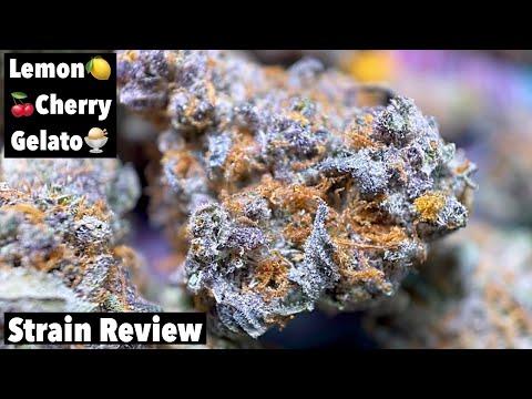Lcg 2 Strain