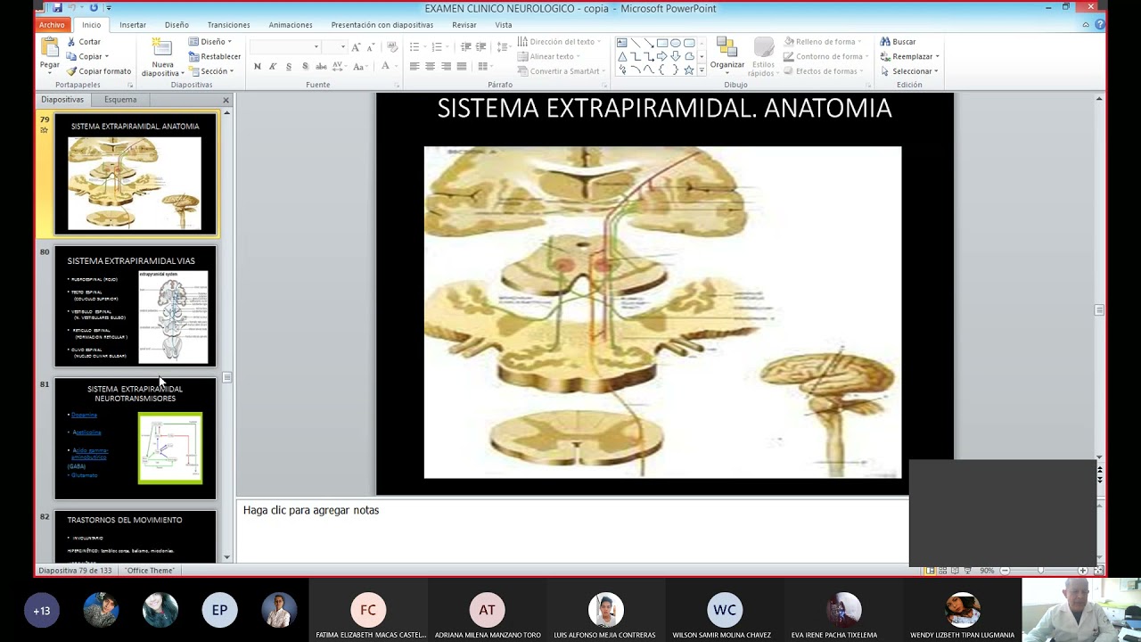 Sistema extrapiramidal