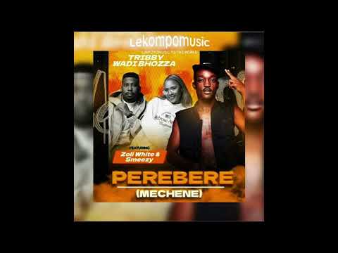 Perebere (Mechene) - Tribby Wadi Bhozza Feat Zoli White Smoke & SmeezyOn The Beat@071records.com