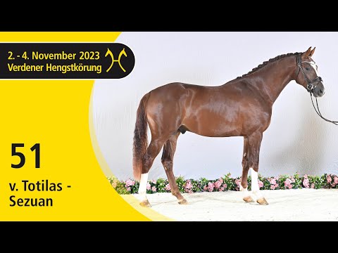 Verden Stallion Licensing 2023 - Dressage - Nov. 2-4 - No. 51 Stallion by Totilas - Sezuan
