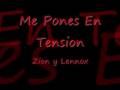 Me Pones En Tension Cerda 77