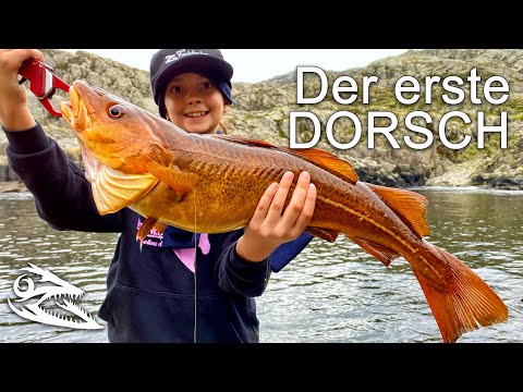 Norwegen Uferangeln im Urlaub 21 - Der erste Dorsch!